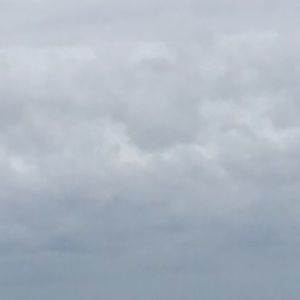 Meet your Posher, Cc